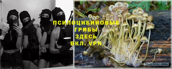 стафф Покровск