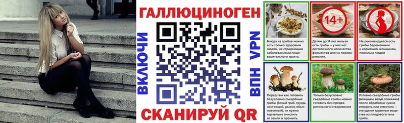 Галлюциногенные грибы MAGIC MUSHROOMS  MEGA как войти  Шлиссельбург 